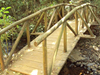 Ponte feita com madeira de eucalipto - madeira imunizada